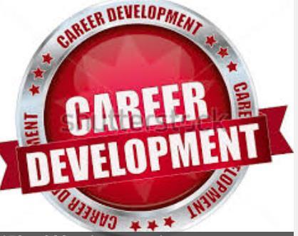 Challenges-Career Development We are not meeting the career development needs of newcomer youth. They are actually integrated, in that sense.