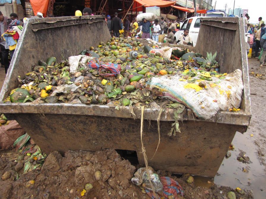Figure 6. Organic waste from the Atkilt Tera market. Source: Stratus Consulting. Figure 7.
