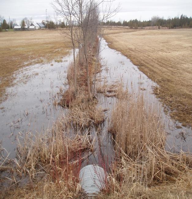 roadside ditch, on line pond, etc) Sediment transport volume Riparian vegetation Site features (nutrient sources u/s, point