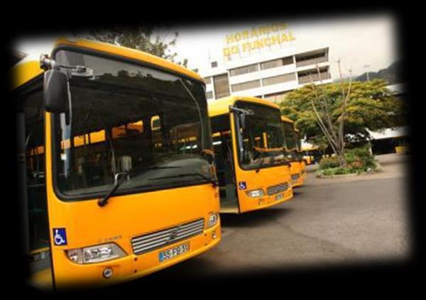 Provide information on the system of road passenger transport (schedules,