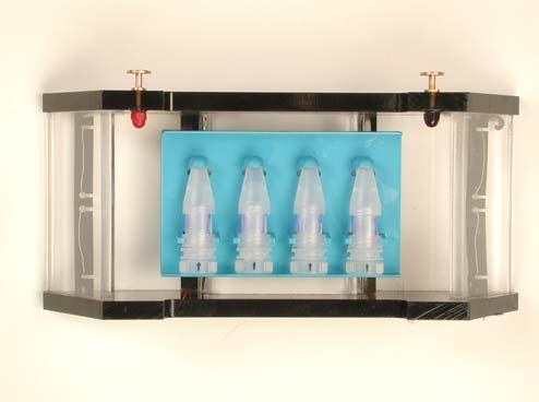 . Place the supporting tray containing the GeBAflex-tube(s) in a horizontal electrophoresis tank containing protein