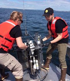 Studying the carbonate system in Bellingham DIC and Alkalinity Samples collected by CTD-rosette at 4 sites DIC measured by NDIR ph measured by cresol