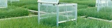 The IRRI International Research Program on Methane Emissions from rice fields in Asia Automated closed chambers measuring system: 24 hours/day for the whole growing season; 2 3 cropping seasons.