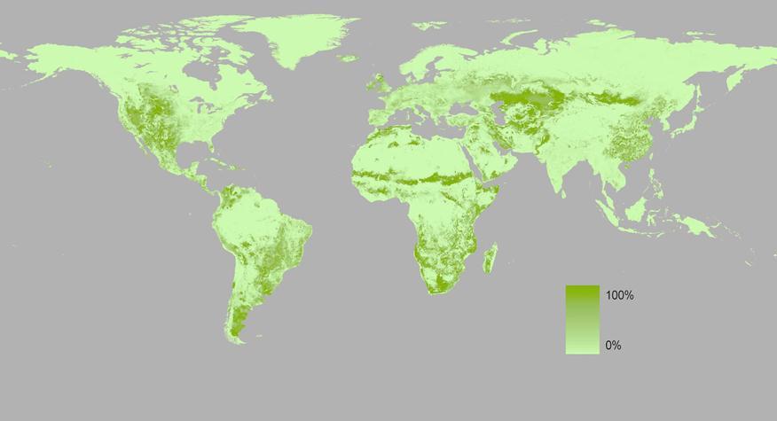 PASTURES DISTRIBUTION IN THE WORLD Pastures http://www.news.wisc.