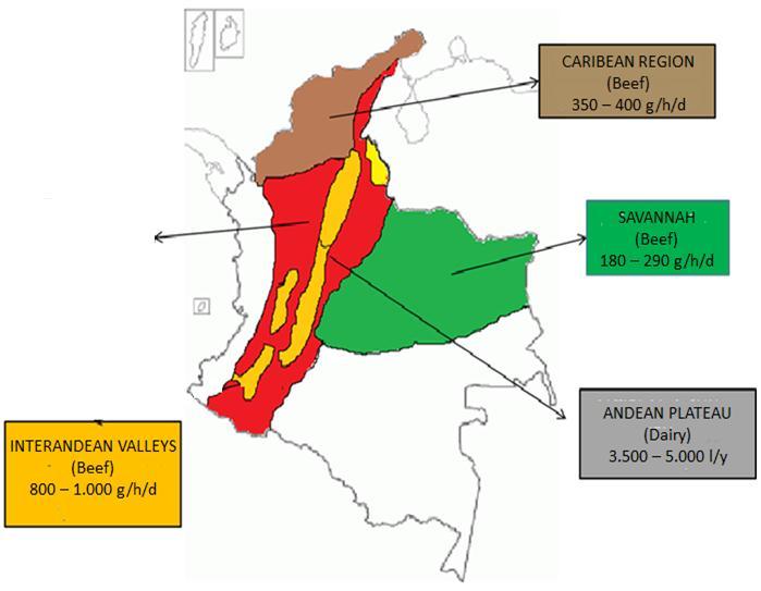 STRATEGIC AREAS FOR BEEF AND DAIRY CATTLE PRODUCTION IN
