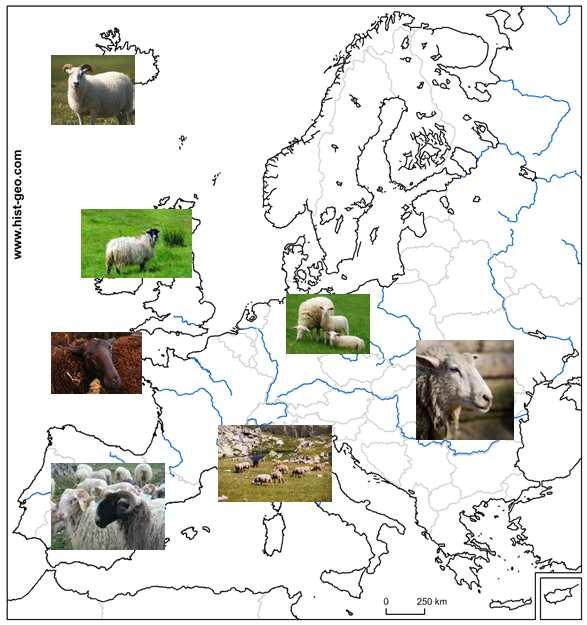 Genetic factors (Local breeds) Production Nutrition (Grazing regimes) (Grazing management) (Tannin rich forages) Environment (Stress) (Abiotic and biotic factors)