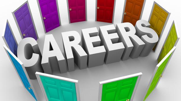 Career Planning Your Career Needs Choosing a Career What do I want to do with my