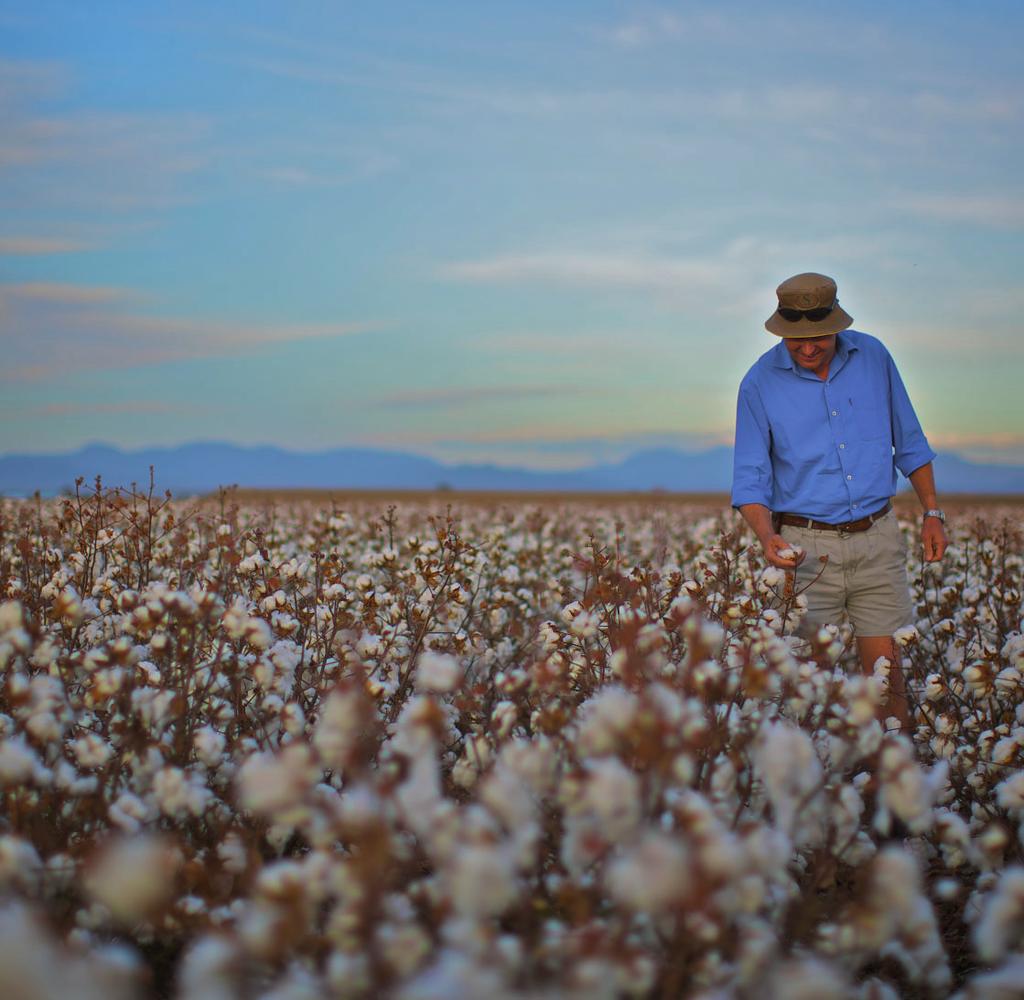 BE PART OF OUR STORY COTTON IS AN ANCIENT FIBRE WITH A STORY THAT BEGAN OVER 7,000 YEARS AGO.