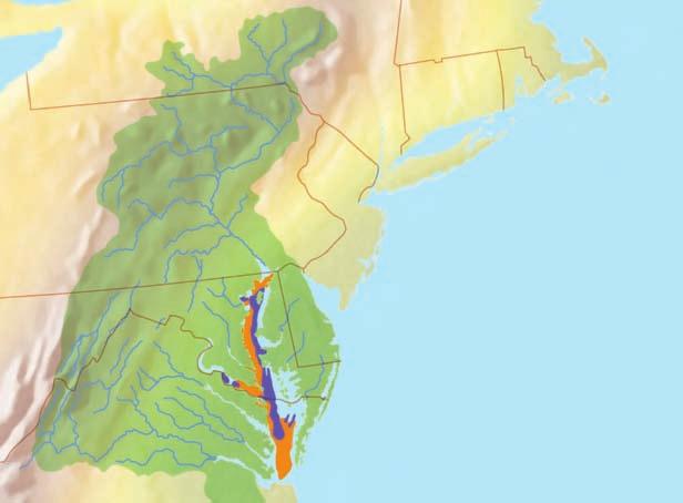 Drainage basin NEW YORK Cooperstown help to raise the overall oyster population. This could also help to clean the water and provide more habitat for crabs, fish, and other forms of marine life.