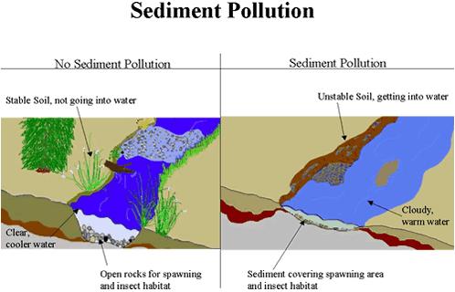 Destruction of spawning beds (river/lake bottoms) Adsorption and transport of other pollutants Reduced light