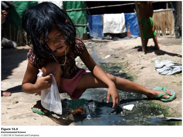 Disease-Causing Organisms Human wastewater can carry a variety of illnesscausing viruses, bacteria and parasites we can collectively call pathogens These pathogens can cause: Cholera Typhoid Fever