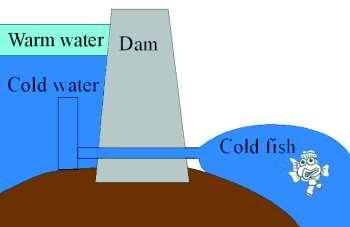 We can also have cold water pollution In many areas fish and Other river organisms are Adapted to relatively warm water.