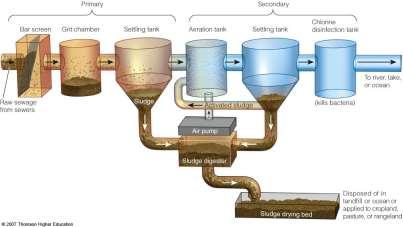 Reducing Water Pollution through Sewage Treatment Primary and Secondary sewage