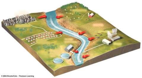 Point and Nonpoint Sources NONPOINT SOURCES Rural homes Urban streets Cropland Animal feedlot Suburban development POINT SOURCES Factory Wastewater treatment plant Water Pollution: Many Forms