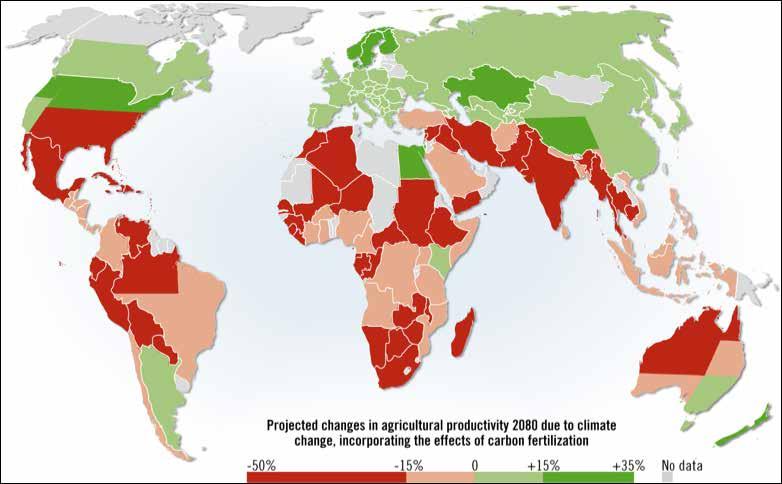 FIGURE 1 Projected changes in agricultural production in 2080 due to climate change Source: Cl