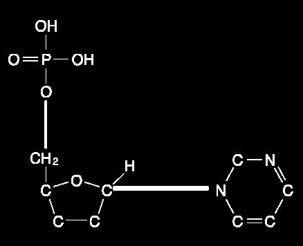 A nucleic acid is composed of a long string of nucleotides A nucleotide consists of: an inorganic phosphate
