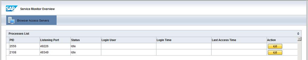 4.2 Monitor Browser Access processes As of SAP Business One 9.