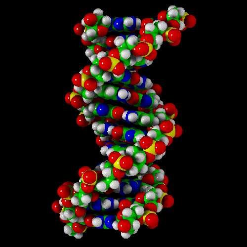 Biotechnology today Focuses on DNA Deoxyribonucleic Acida double-stranded helical