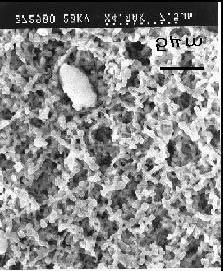 In Actual Seawater RO pretreatment, comparison of turbidity levels between UF filtrate and DMF SEM photo image of
