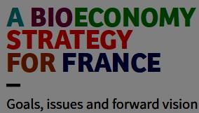 of bioeconomy, led by the minister of Panel discussion about bioeconomy during