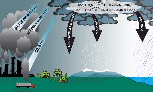 Acid Precipitation When coal and other fossil fuels are burned, sulfur dioxides and nitrogen dioxides are released into