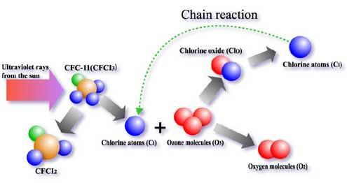 Hole in Ozone Layer Radiation, from the Sun, causes the chlorine atom to break free from the CFC molecule.