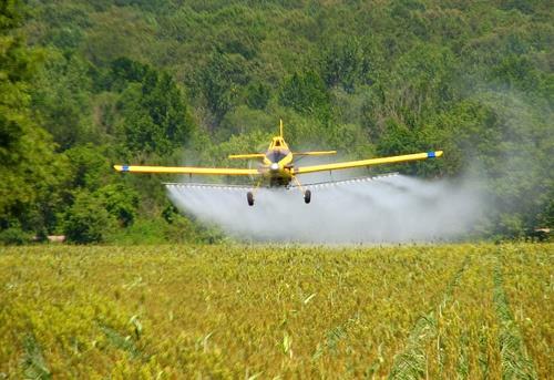 Pesticides Wide spread use of pesticides or weed