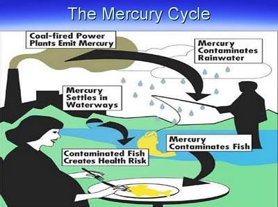 Mercury Mercury is a heavy metal