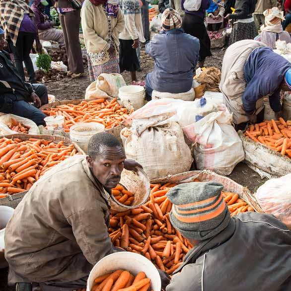 END POVERTY IN ALL ITS FORMS EVERYWHERE Many barriers prevent the world s 500 million smallholder farmers from selling more of their produce and trading with lucrative markets, which restricts their