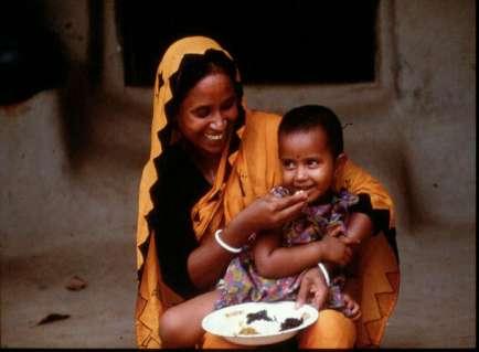 HFP Benefits Participating families were able to diversify their diets increasing consumption of micronutrient-rich foods, including poultry and fish generating income, also to be