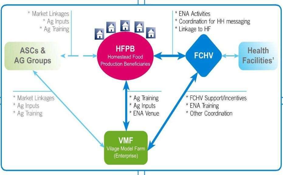 HKI s HFP model showing the