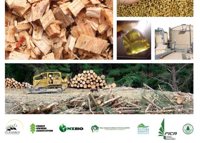 Aims for economic growth by increasing production and use of biomass based energy