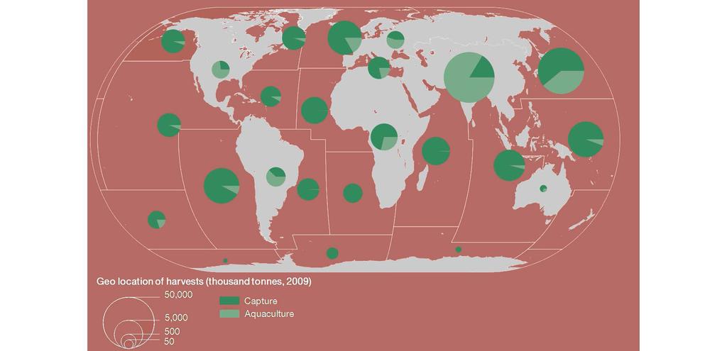 TRENDS IN THE FISHERIES SECTOR Map 50: Geo-location of harvests by capture and aquaculture Source: FAO, Fisheries and Aquaculture Department (Fishery and Aquaculture statistics) Metalink: P3.FTW.FAO.FI.HARV, p.