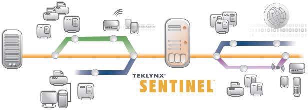 SENTINEL "Watches" for the Data SENTINEL receives data and sent there from the host.