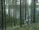 Sustainable Forest Management and Biological Diversity under Changing Needs of Society - as an Example the European