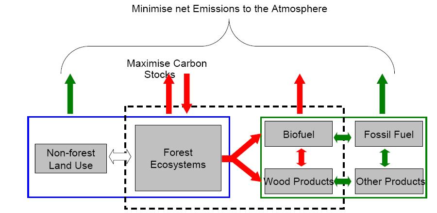Forest and environmental policy - sustainable production of biomas for energy - green public