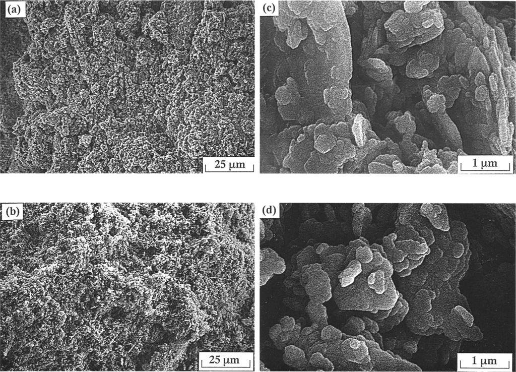 524 Ma and Pierre Clays and Clay Minerals Figure 4. SEM micrographs of kaolinite sediments made from.5% (by mass) kaolinite suspensions at ph = 2.: (a) and (b) without unaged FeCI3; (c) and (d) with.