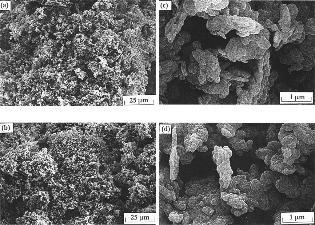 Vol. 47, No. 4, 1999 SEM observation of kaolinite sediments 525 Figure 5. SEM micrographs of kaolinite sediments made from.5% (by mass) kaolinite suspensions at ph = 6.