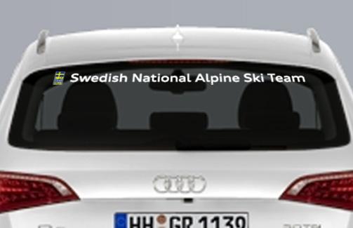 importance. Swedish National Alpine Ski Team For both types of communication measure, however the focus must be on a key message of a promotional or content-based nature.