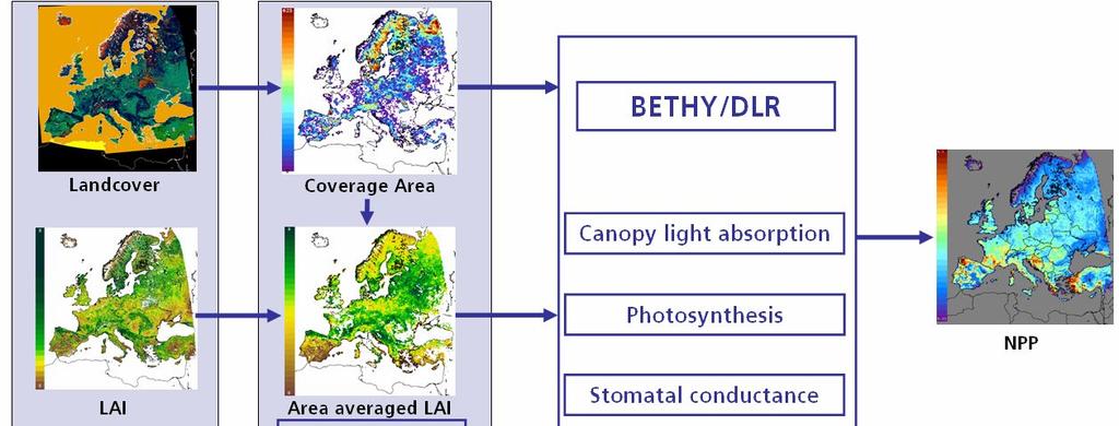 Carbon modeling (BETHY - DLR) Remote sensing data ECMWF data