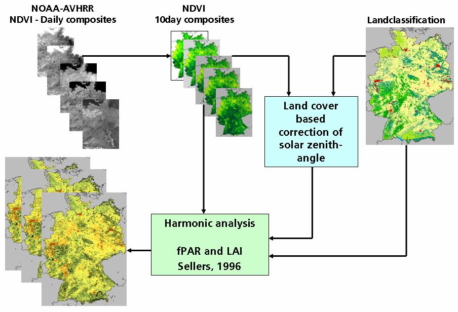 Plant status (Leaf Area Index LAI) Input parameter for carbon modeling NDVI: Normalized Difference Vegetation Index LAI: Leaf Area Index fpar: