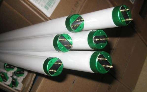 Green-Tipped Fluorescent Lamps Green-tipped fluorescent lamps can be disposed of in the trash, but recycling is strongly encouraged