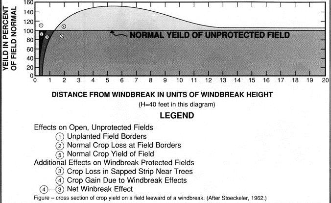 Wheat - 23% Spring Wheat - 8% Hay - 20% (Kort,