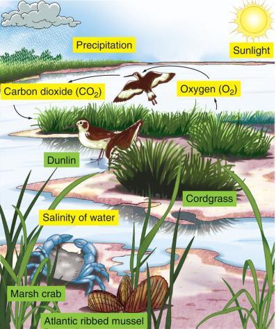 7 million Ecology Organisms interact with biotic components, but also effect many