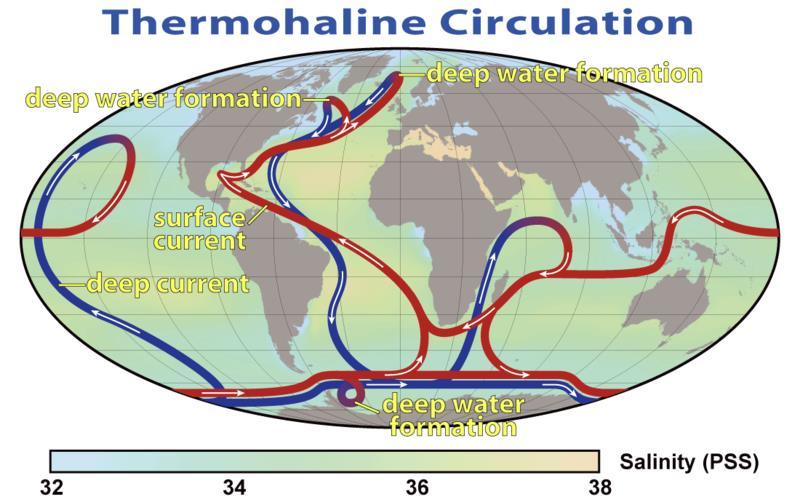 The increase in greenhouse gases in the atmosphere leads to decrease of the density of the surface waters in the North Atlantic due to warming or a reduction in salinity, the strength of the MOC is
