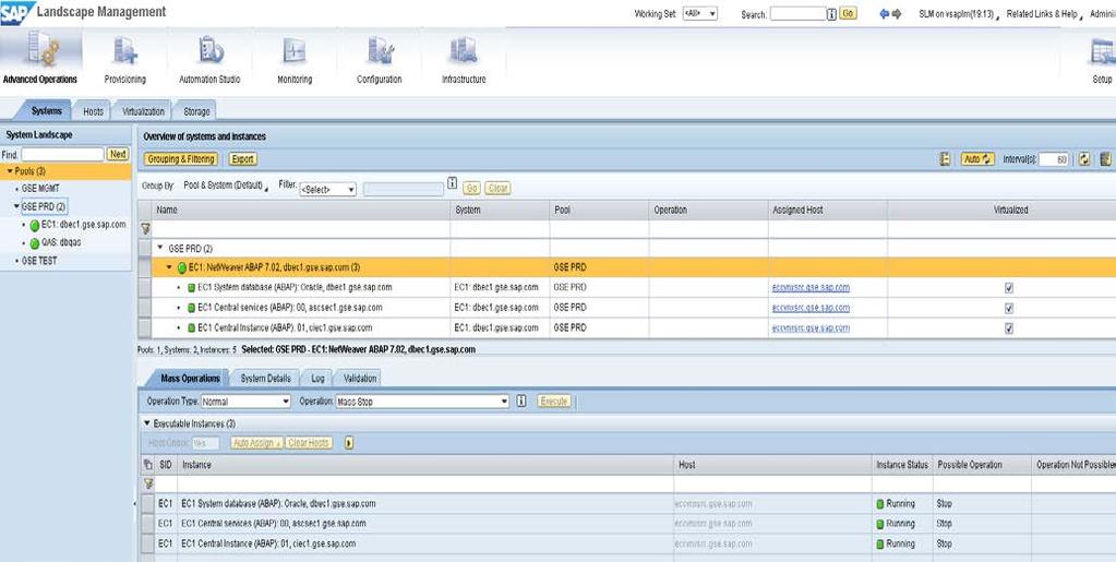 All the SAP instance-specific mount points must be verified, adjusted, and approved by the SAP administrator who supports the SAP LaMa implementation at the customer site.