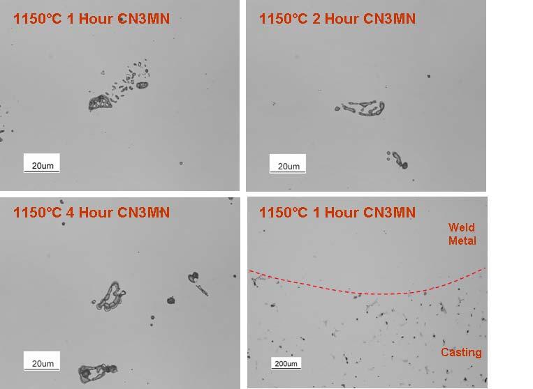 A B C D Figure 22 - LOM micrographs of CN3MN heat treated at 1150 C for 1, 2, and 4 hours.