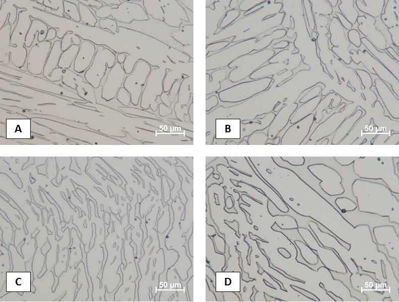 Figure 57 - Light optical photomicrographs of CF-3-HF alloy in (a) as cast condition,