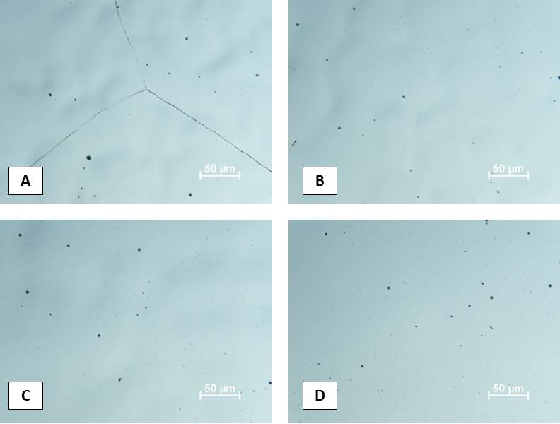 hours Figure 60 - Light optical photomicrographs of CF-8-LF alloy in (a) as cast
