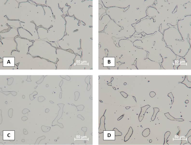 Figure 61 - Light optical photomicrographs of CF-8-HF alloy in (a) as cast condition,